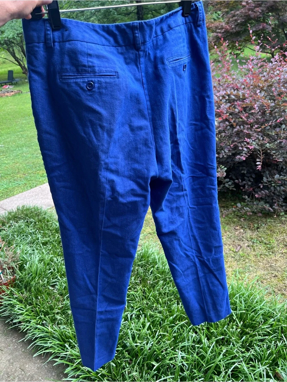 Women’s Dress Pants - Royal Blue